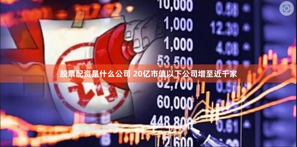 股票配资是什么公司 20亿市值以下公司增至近千家