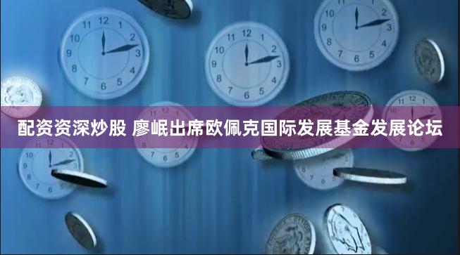 配资资深炒股 廖岷出席欧佩克国际发展基金发展论坛