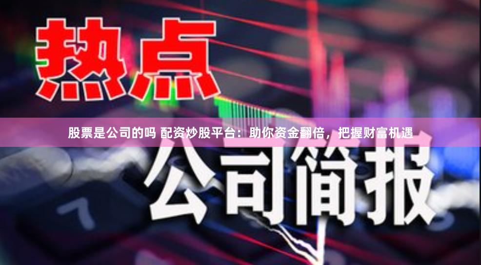 股票是公司的吗 配资炒股平台：助你资金翻倍，把握财富机遇