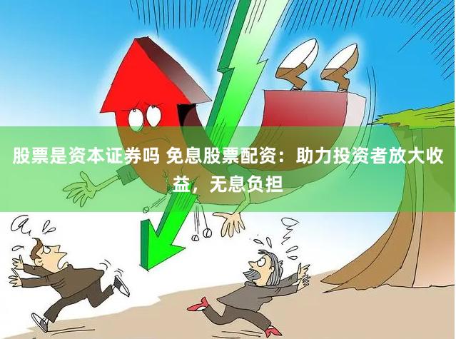 股票是资本证券吗 免息股票配资：助力投资者放大收益，无息负担