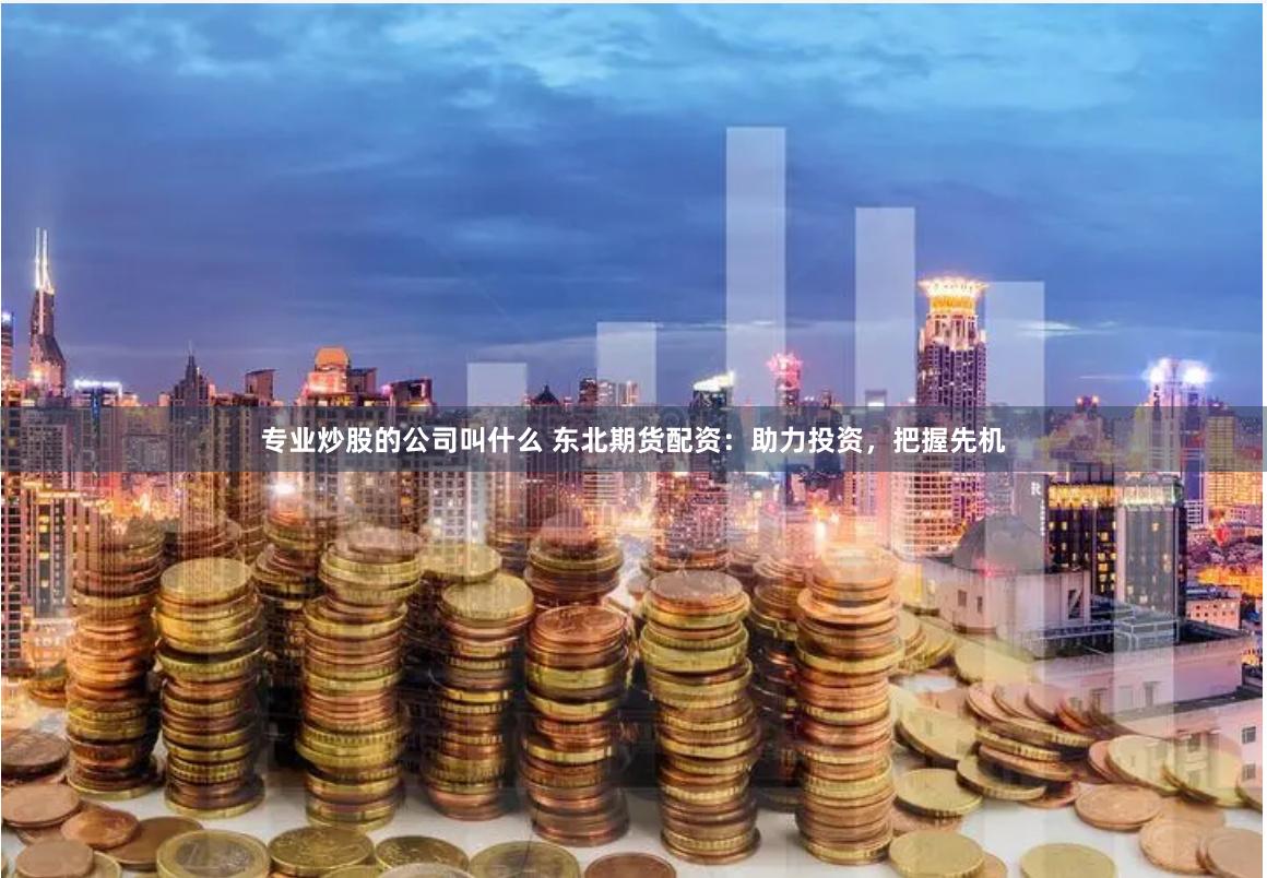 专业炒股的公司叫什么 东北期货配资：助力投资，把握先机